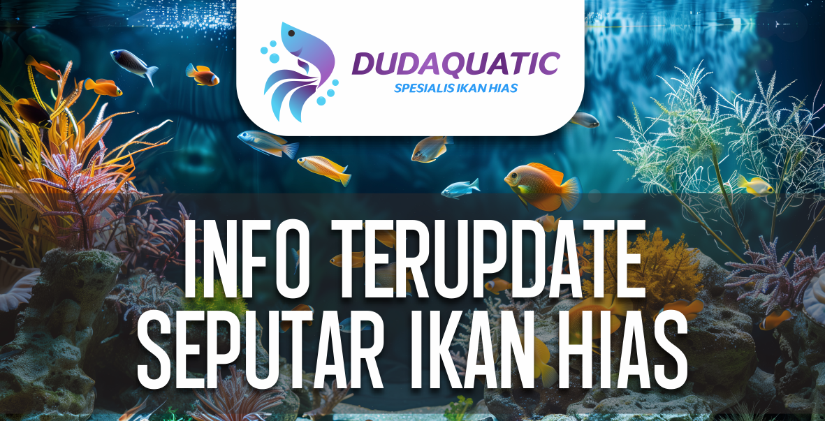 ikan hias